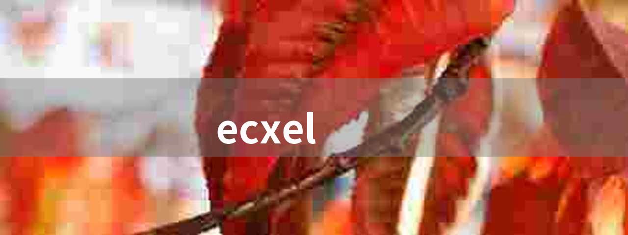 ecxel(<新手必学！Excel四大应用领域详解>)