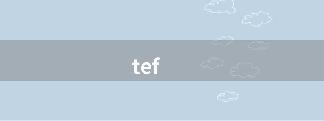 tef(英国教学卓越框架)