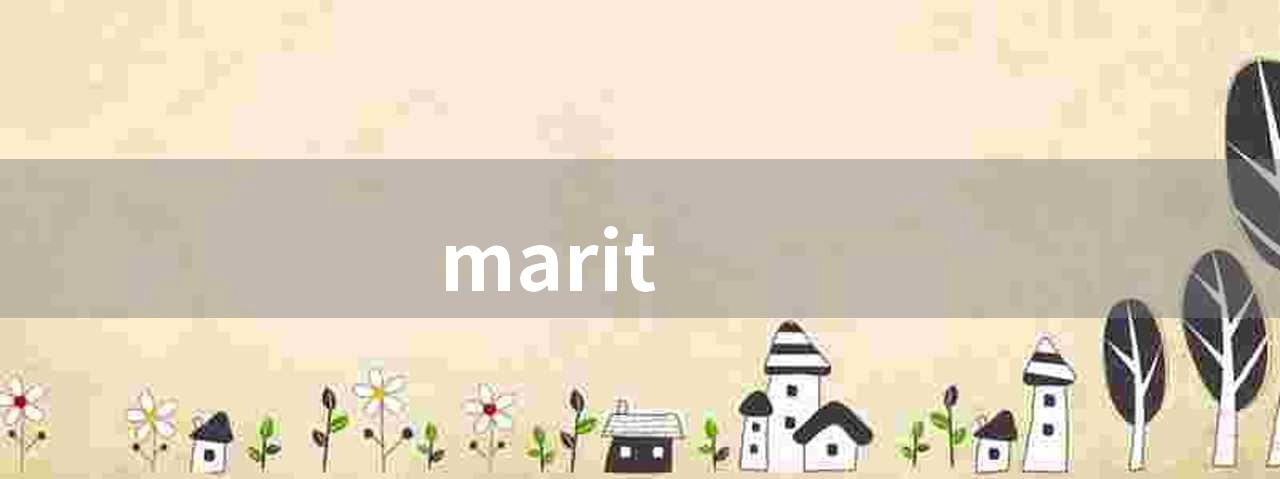 marit(Marit技术在数字化转型中的应用)