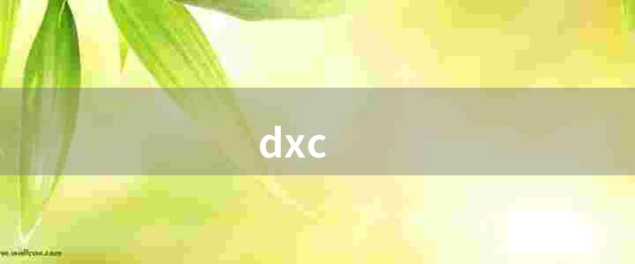 dxc(dxc ceo ：我理解了别人的意图)