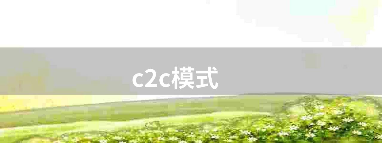 c2c模式(C2C模式：优点、缺点及未来发展)