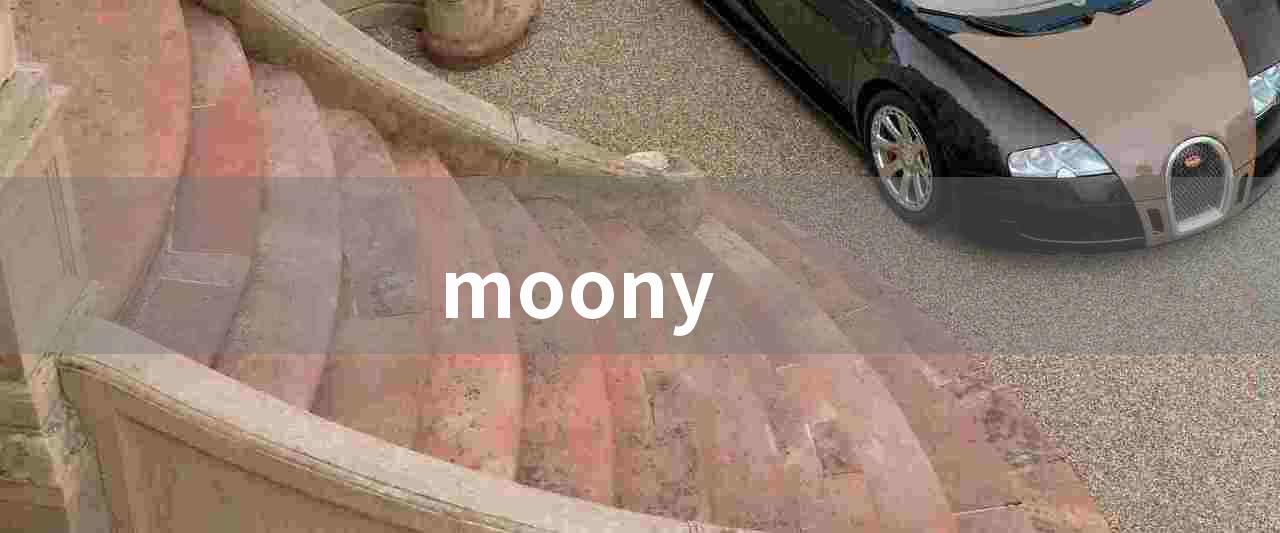 moony(Moony：全球闻名的高品质婴儿尿不湿品牌)