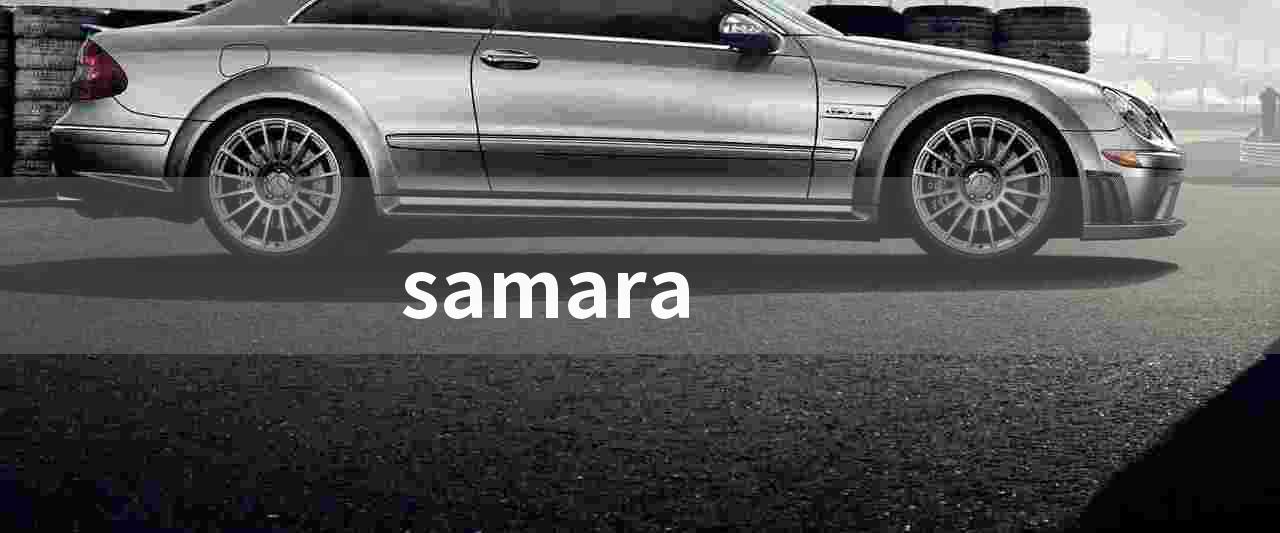 samara(纪录片《轮回》)