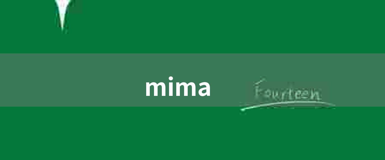 mima(密码保护与安全：从四个方面浅谈mima的重要性)