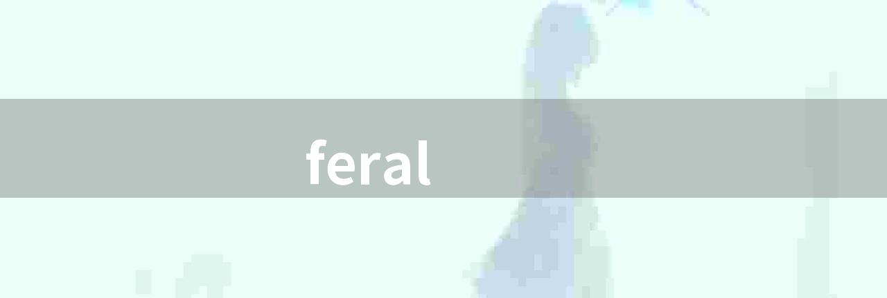 feral(Linux开发行业必须了解的Feral公司)