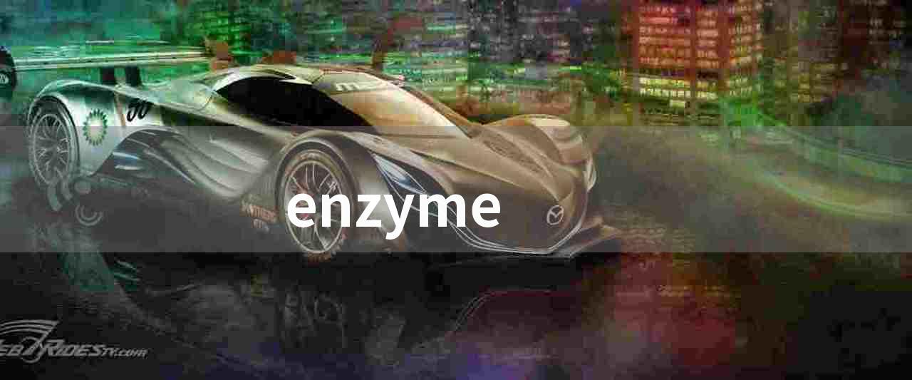 enzyme(什么是多功能酶)