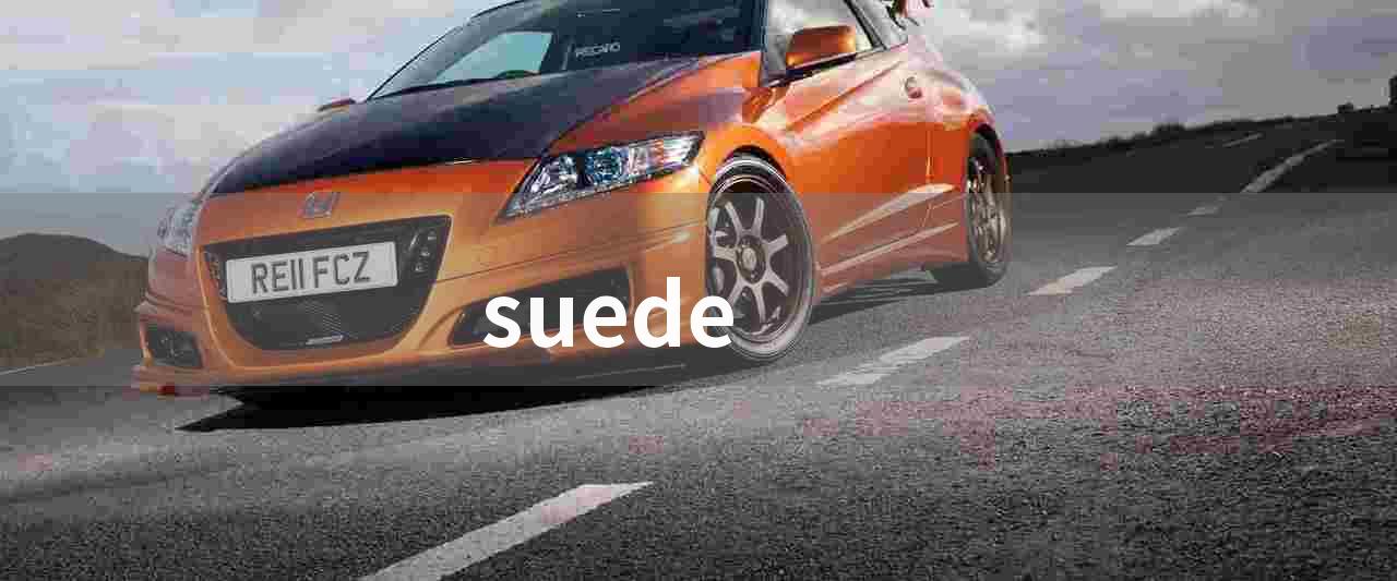suede(Suede乐队：英伦摇滚乐坛的代表之一)