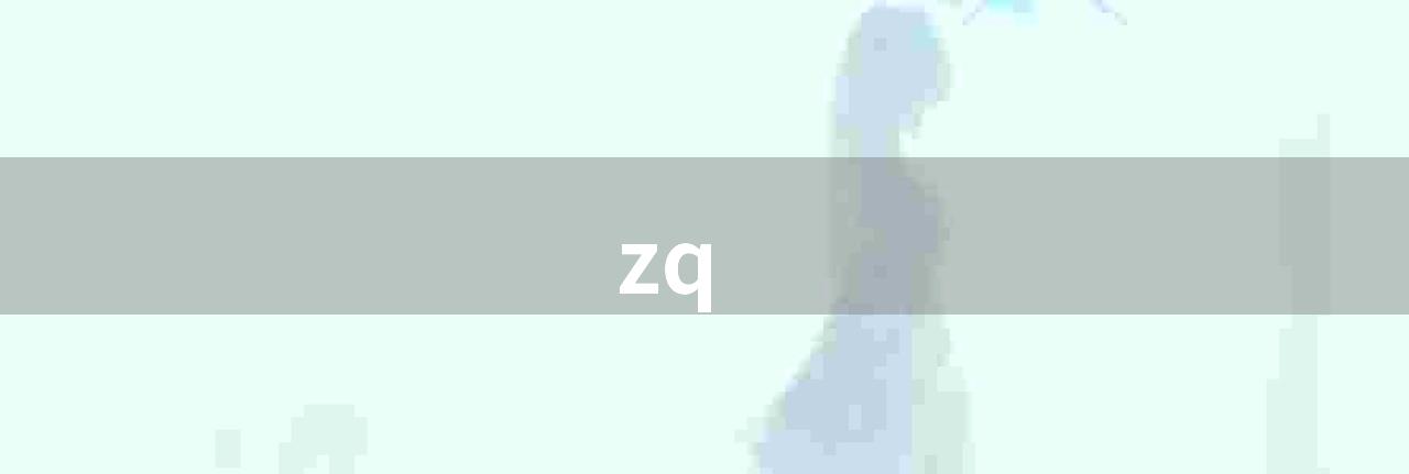 zq(什么是 zqsg ？)