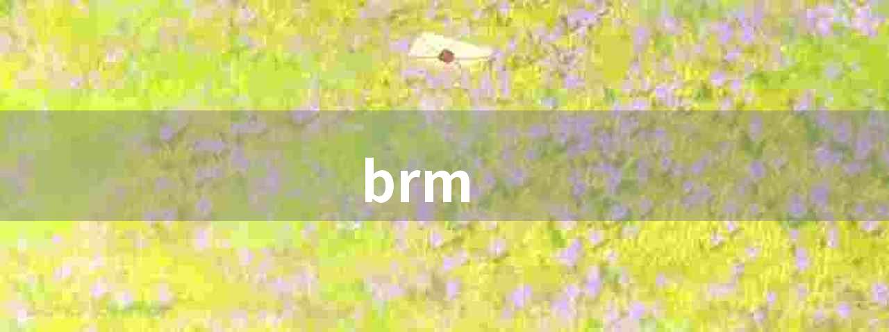 brm(brm 算法在金融领域的应用)