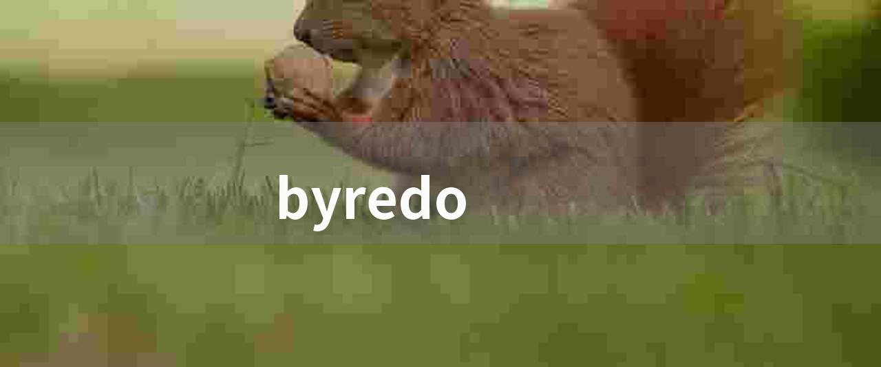 byredo(byredo 品牌介绍)